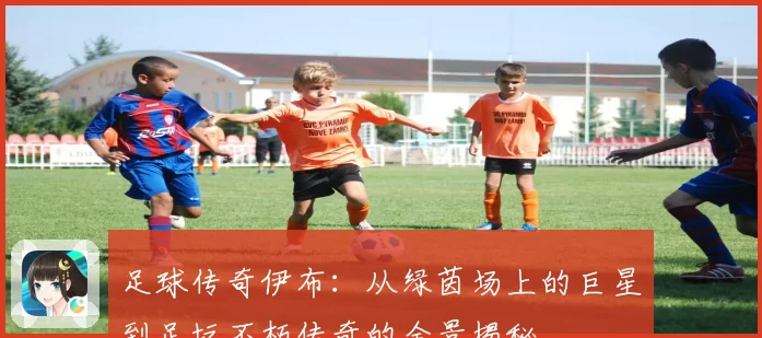 足球传奇伊布：从绿茵场上的巨星到足坛不朽传奇的全景揭秘