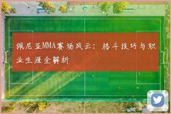 佩尼亚MMA赛场风云：格斗技巧与职业生涯全解析