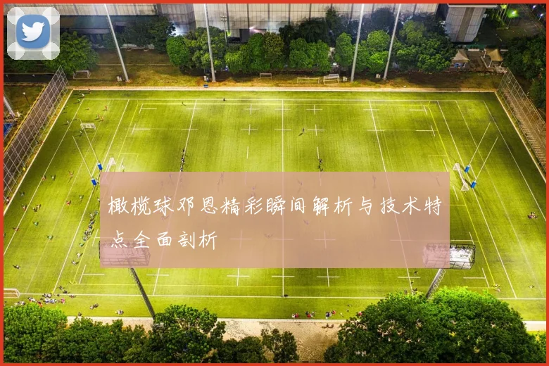 橄榄球邓恩精彩瞬间解析与技术特点全面剖析