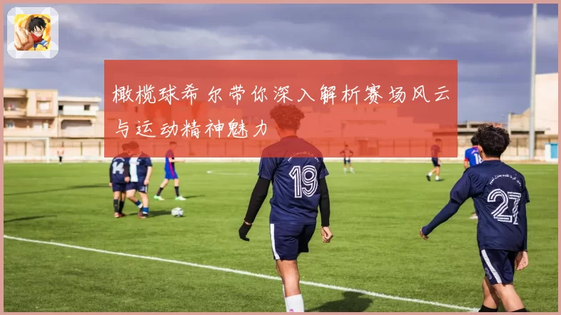 橄榄球希尔带你深入解析赛场风云与运动精神魅力