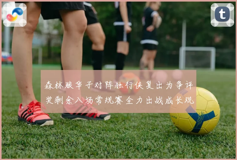 森林狼华子对阵独行侠复出为争评奖剩余八场常规赛全力出战成长观察