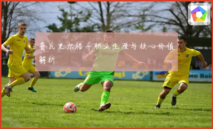 普瓦里尔格斗职业生涯与核心价值解析