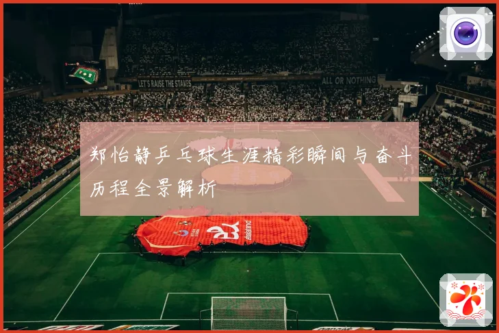 郑怡静乒乓球生涯精彩瞬间与奋斗历程全景解析