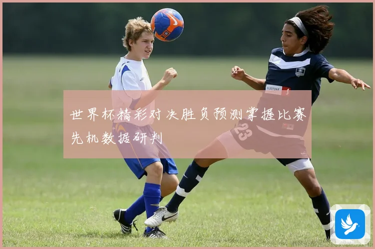 世界杯精彩对决胜负预测掌握比赛先机数据研判