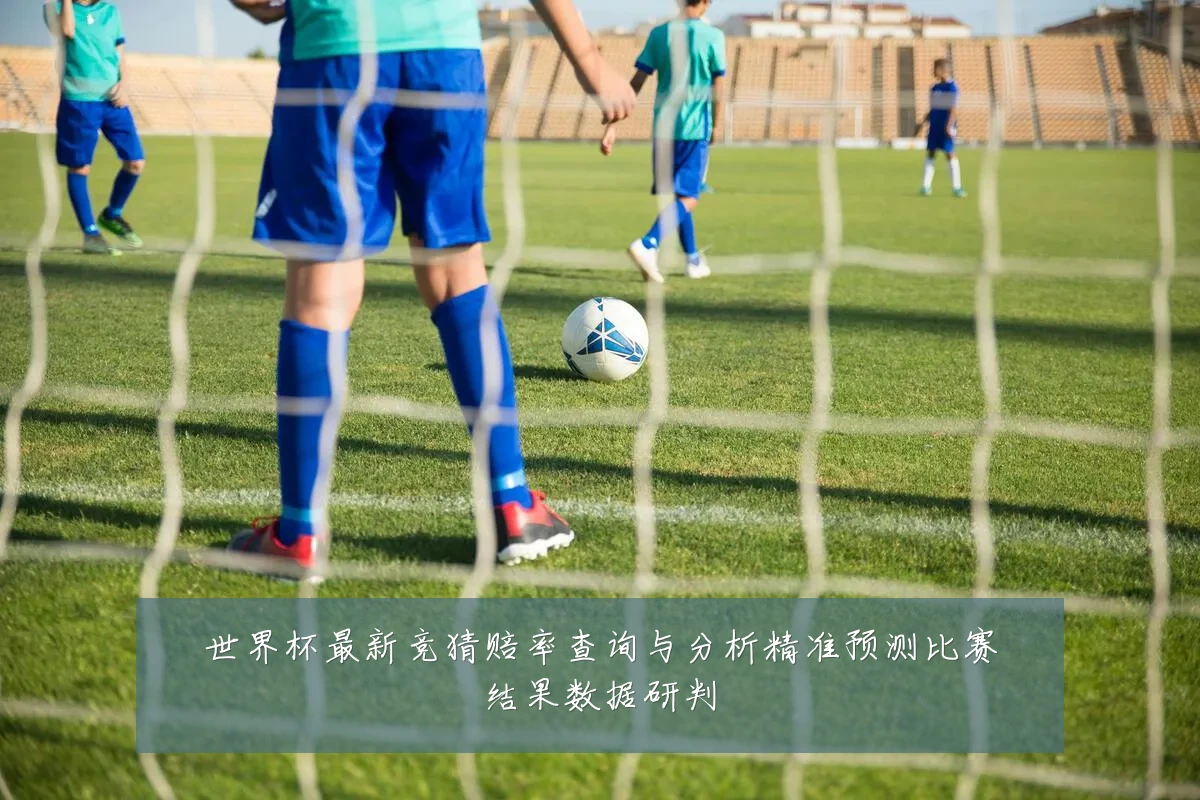 世界杯最新竞猜赔率查询与分析精准预测比赛结果数据研判