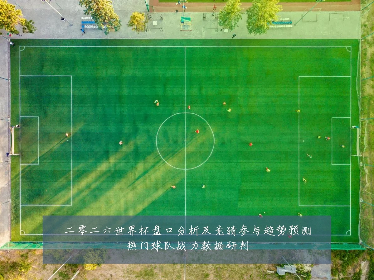 二零二六世界杯盘口分析及竞猜参与趋势预测热门球队战力数据研判