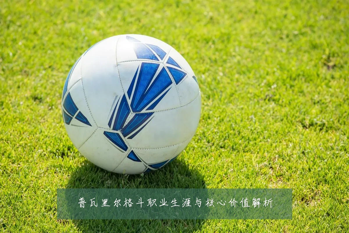 普瓦里尔格斗职业生涯与核心价值解析